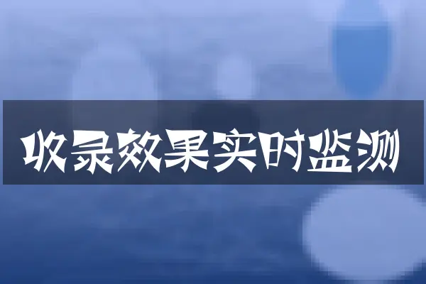 收录效果实时监测